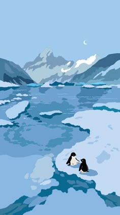 two penguins are swimming in an icy lake