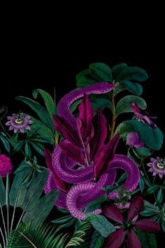 purple flowers and green leaves against a black background with a snake on the left side