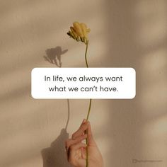 a person holding a flower with the words in life, we always want what we can't have