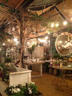 a room filled with lots of potted plants next to tables and chairs covered in mirrors