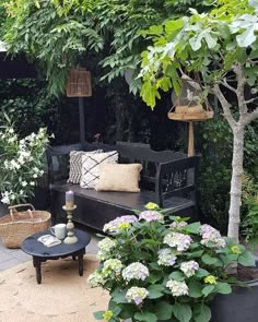 an outdoor seating area with potted plants and flowers