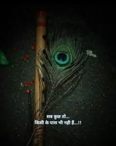 an image of a peacock feather on a stick with the caption in another language