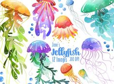 watercolor jellyfish clipart set