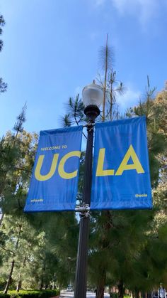 a lamp post with a blue banner hanging from it's side in front of trees