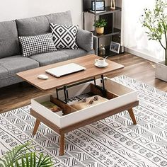 a living room with a couch, coffee table and potted plant on the floor