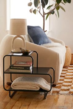 a living room with a couch, coffee table and bookshelf next to a potted plant