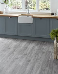 a kitchen with grey cabinets and wood flooring is pictured in this image, there are plants on the counter