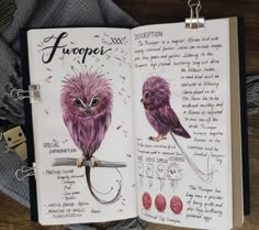 an open notebook with drawings of two birds on it and the words fluoper written in cursive writing