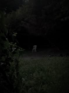 a white chair sitting in the middle of a dark forest at night with light shining on it