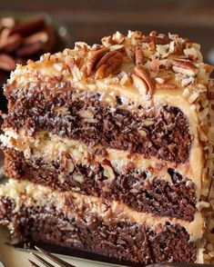 a slice of chocolate cake with pecans on top is sitting on a plate next to a fork