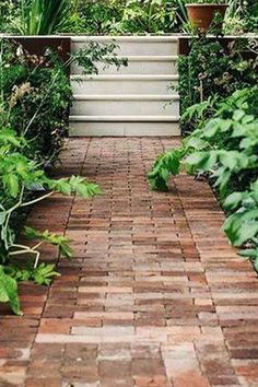 a brick walkway surrounded by greenery and potted plants