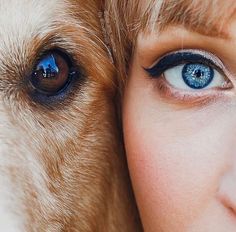 a close up of a woman with blue eyes next to a brown and white dog