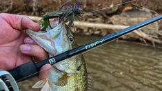 a person holding a fishing rod with a fish on it