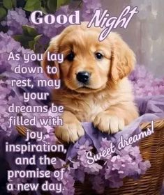 a puppy is sitting in a basket with purple flowers and the words good night on it