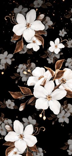 white flowers with gold leaves on a black background