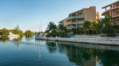 a body of water next to some buildings and boats in the water with palm trees on both sides