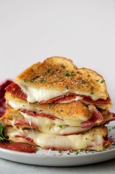 two sandwiches stacked on top of each other with meat and cheese, garnished with parsley