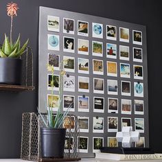 a wall with pictures and plants on it in front of a book shelf filled with books