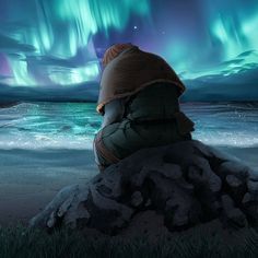 a person sitting on top of a rock next to the ocean under an aurora bore