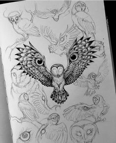 a drawing of an owl surrounded by other owls