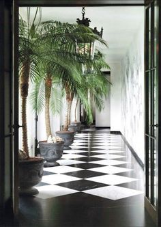 a black and white checkered floor with potted palm trees in the hallway,