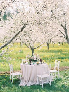 the table is set for two in front of blooming trees and yellow wildflowers