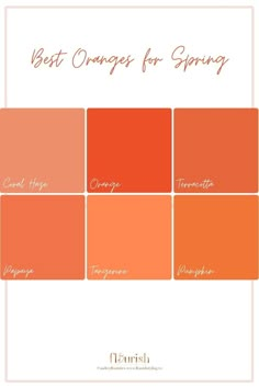 the best oranges for spring in shades from tangerine to turment and ginger