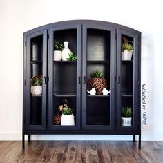 a black china cabinet with potted plants in it