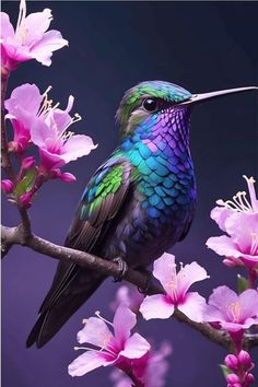 a colorful bird sitting on top of a tree branch next to pink flowered branches