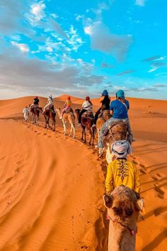 a group of people riding camels through the desert