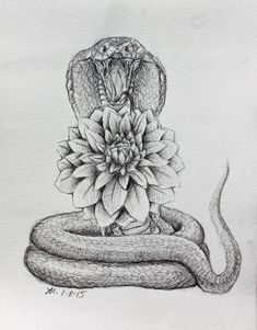 a pencil drawing of a snake on top of a flower with its head in the middle