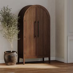 a potted plant sitting next to a wooden cabinet on top of a hard wood floor