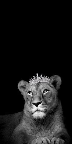 a black and white photo of a lion wearing a tiara