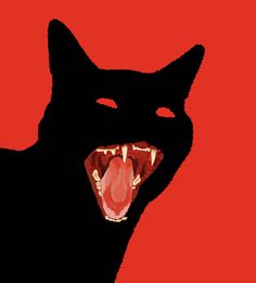 a black cat with it's mouth open showing teeth and fangs on red background