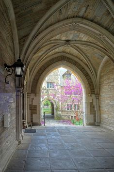 an archway leading into a building with pink flowers on the trees in front of it