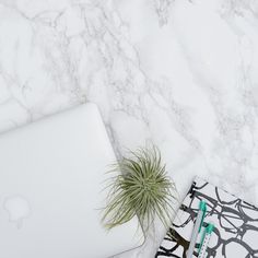 an open laptop computer sitting on top of a white marble table next to a plant