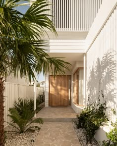 an entrance to a white house with palm trees in the foreground and a wooden door