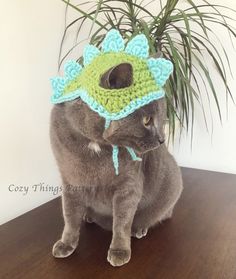 a gray cat wearing a crocheted hat on top of a wooden table next to a potted plant