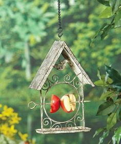 a bird feeder hanging from a tree filled with apples and an apple cut in half