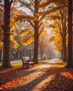 a park bench sitting on top of a leaf covered ground next to trees with yellow leaves