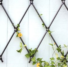 an iron fence with yellow flowers growing on it and green leaves hanging down the side