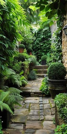 a stone path surrounded by lush green plants