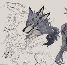 three different types of wolfs are depicted in this sketching technique, one is gray and the other is black