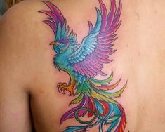 a colorful bird tattoo on the back of a woman's shoulder