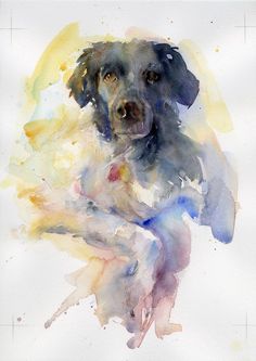 a watercolor painting of a dog sitting down