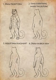 an old book with instructions on how to draw cats in three different poses, including the cat