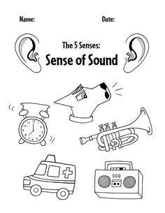 the five senses sense of sound worksheet with pictures and words to print out