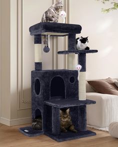 two cats sitting on top of a cat tree