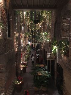 an alleyway with lights and plants on the sides, people sitting at tables in the middle