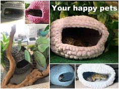 there are many different types of pet beds in this collage with the words, your happy pets